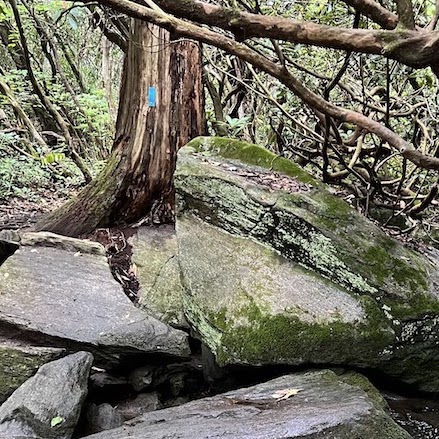 Rocky Stream
